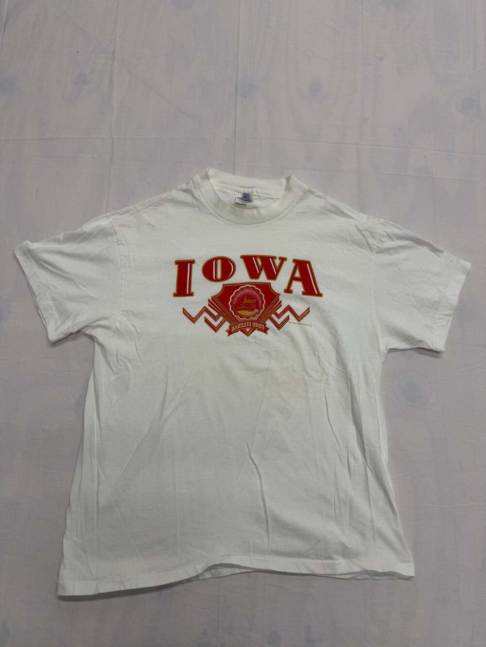 Vintage 90s Iowa Hawkeye State Single Stitch Hanes Beefy-T Graphic T-Shirt